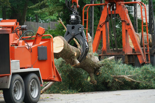 Seasonal Cleanup (Spring/Fall) in Castle Shannon, PA